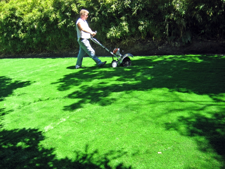 Fake Turf Cienegas Terrace, Texas Lawn And Garden, Backyards