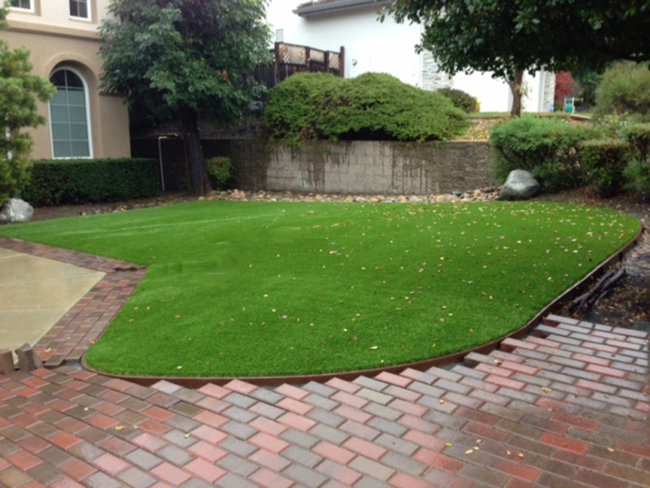 Fake Turf Indian Hills, Texas Landscape Design, Front Yard Landscaping Ideas