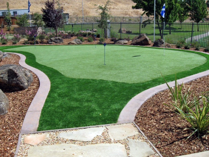 Fake Turf Joshua, Texas Landscape Design, Backyard