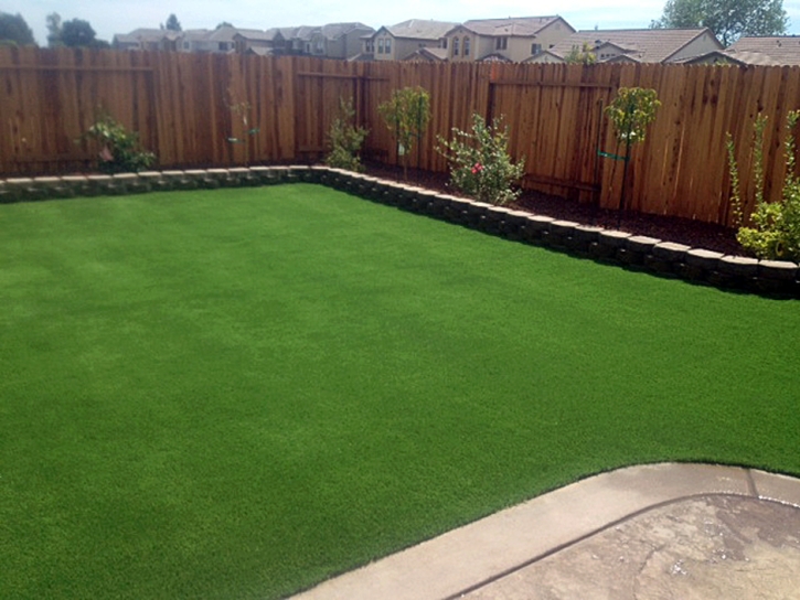 Fake Turf Karnes City, Texas Landscape Ideas, Backyard Landscape Ideas