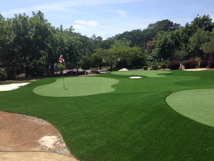 Fake Turf La Marque, Texas Putting Green Carpet, Front Yard Landscape Ideas