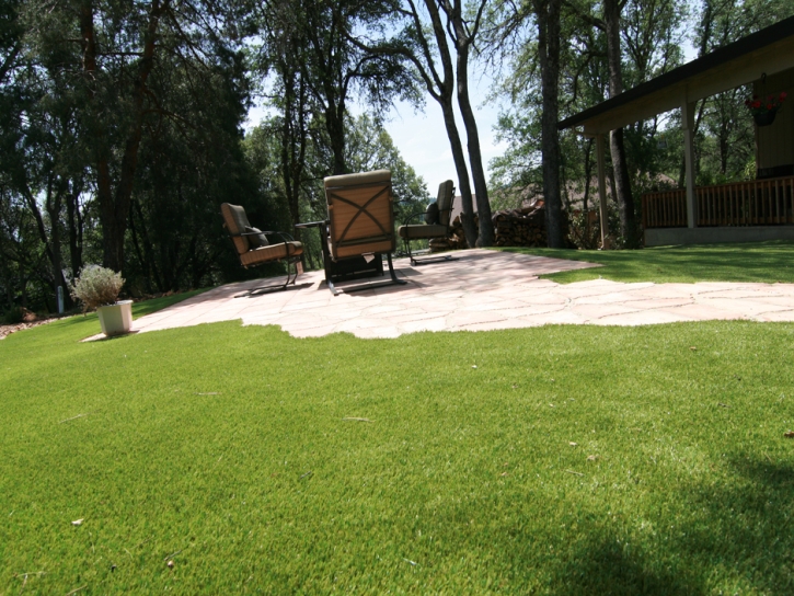 Fake Turf Live Oak, Texas Backyard Playground, Backyard Landscaping