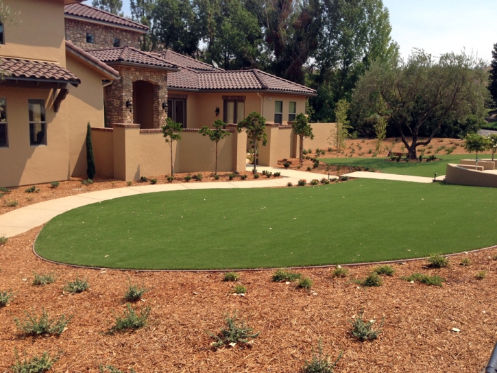 Fake Turf Murphy, Texas Garden Ideas, Front Yard Landscape Ideas