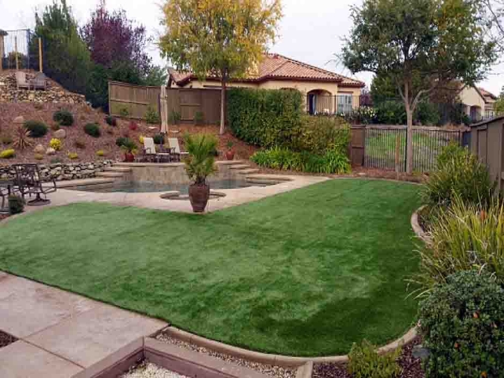 Fake Turf Shiner, Texas Lawns, Backyard Makeover