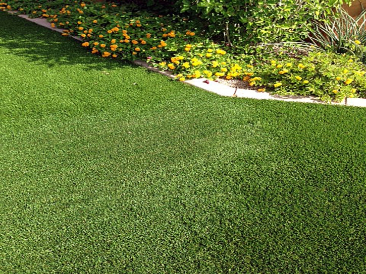 Fake Turf Taft, Texas Landscape Photos, Small Front Yard Landscaping