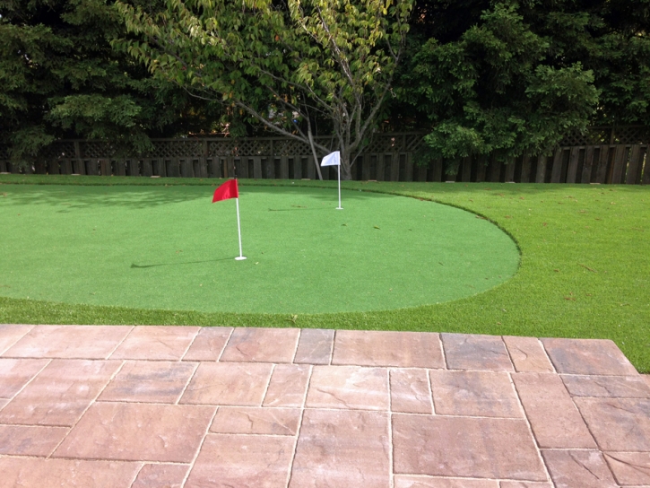 Faux Grass Sullivan City, Texas Putting Green, Beautiful Backyards