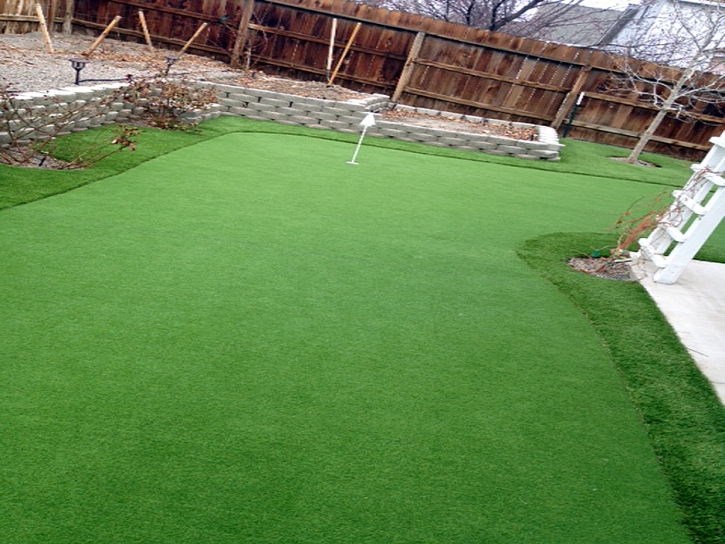 Grass Carpet Allen, Texas Artificial Putting Greens, Backyard Landscape Ideas