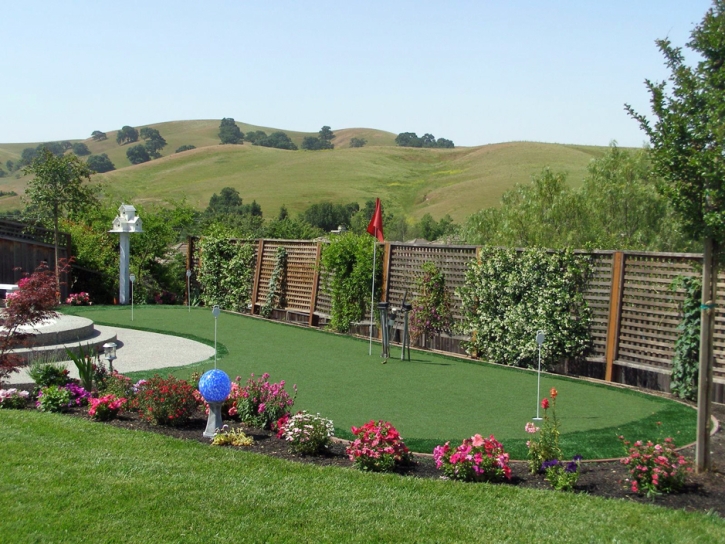 Grass Carpet Comfort, Texas Landscape Design, Backyard Landscaping