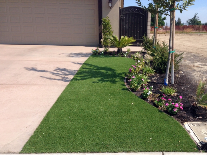 Grass Carpet Crystal City, Texas Garden Ideas, Front Yard