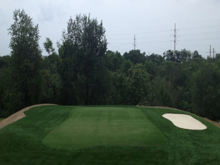 Grass Carpet Freeport, Texas How To Build A Putting Green, Backyards