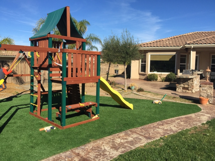 Grass Carpet Richardson, Texas Landscape Photos, Backyard Makeover