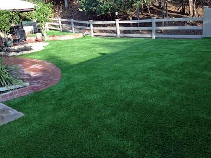 Grass Carpet Shallowater, Texas Indoor Dog Park, Backyard