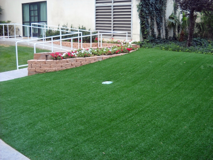 Grass Carpet Wyldwood, Texas Backyard Playground, Front Yard Landscaping Ideas