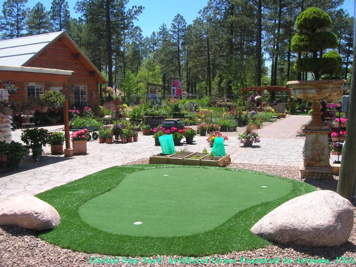 Grass Installation San Antonio, Texas Indoor Putting Greens, Backyard Design