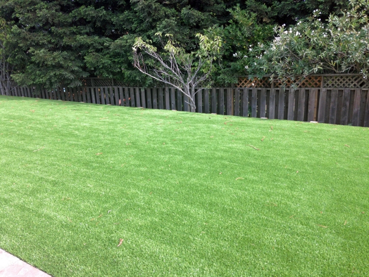 Grass Turf Alvarado, Texas Design Ideas, Small Backyard Ideas