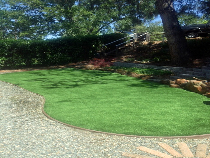 Grass Turf Balcones Heights, Texas Paver Patio, Backyard Designs