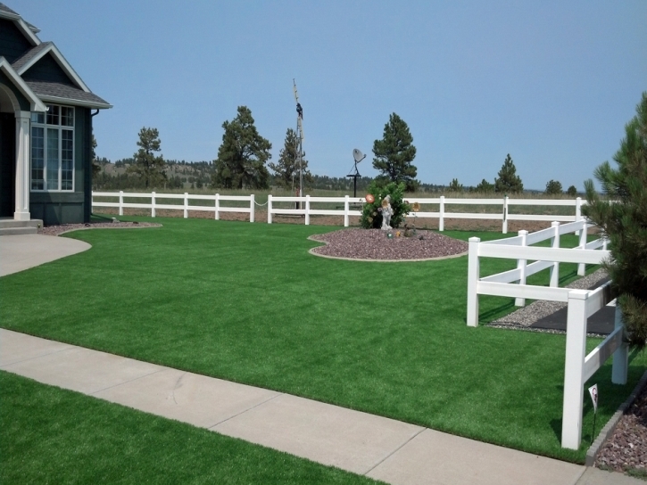 Grass Turf Crockett, Texas Gardeners, Backyard Designs
