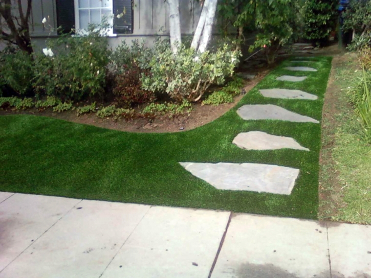 Grass Turf Hollywood Park, Texas Lawn And Garden, Landscaping Ideas For Front Yard