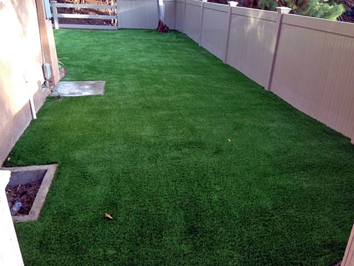 Grass Turf Memphis, Texas Dog Pound, Backyard Landscape Ideas