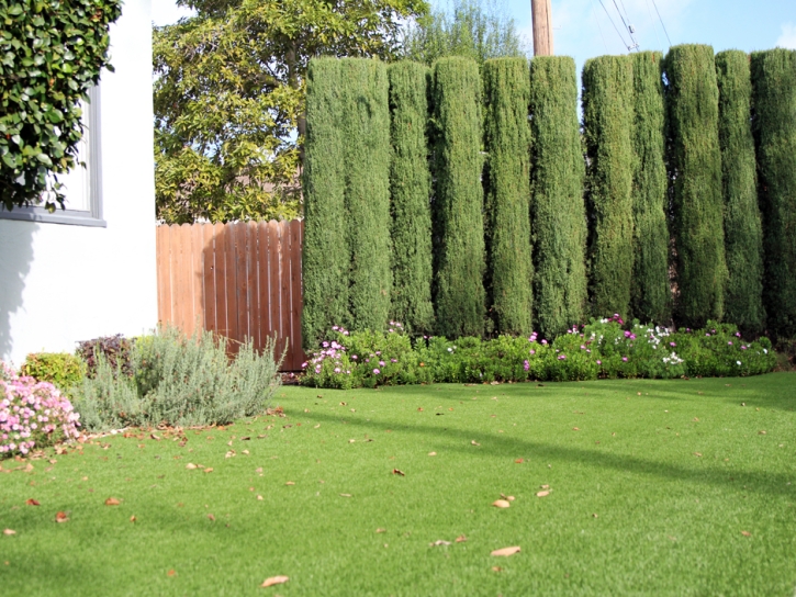 Grass Turf Pottsboro, Texas Design Ideas, Front Yard