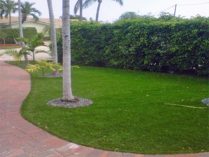 Grass Turf Richmond, Texas Landscape Ideas, Small Front Yard Landscaping