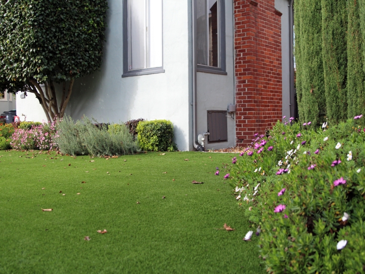 Grass Turf Rosenberg, Texas Lawn And Landscape, Front Yard Landscaping Ideas