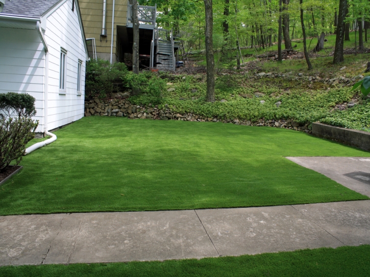 Grass Turf Wharton, Texas Backyard Playground, Front Yard Design