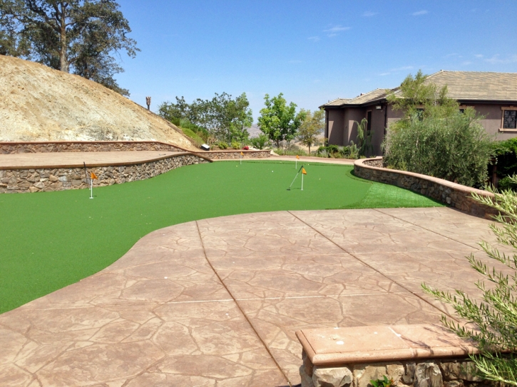 Green Lawn Bee Cave, Texas Backyard Putting Green, Backyard Ideas