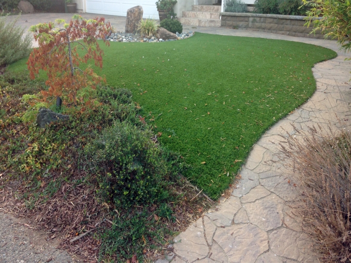 Green Lawn Bolivar Peninsula, Texas Landscape Design, Backyard