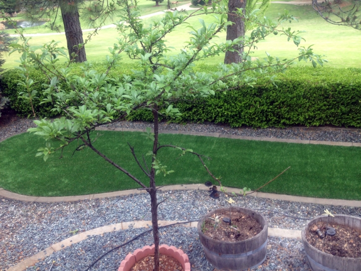 Green Lawn Jefferson, Texas Landscape Rock, Front Yard Ideas