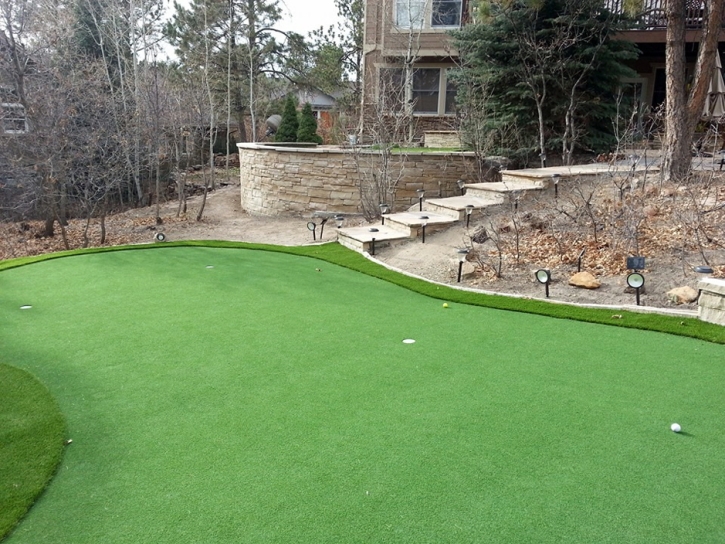 Green Lawn Laredo, Texas Putting Green Carpet, Backyard Landscaping