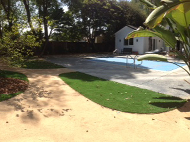 Green Lawn Palestine, Texas Landscape Ideas, Beautiful Backyards