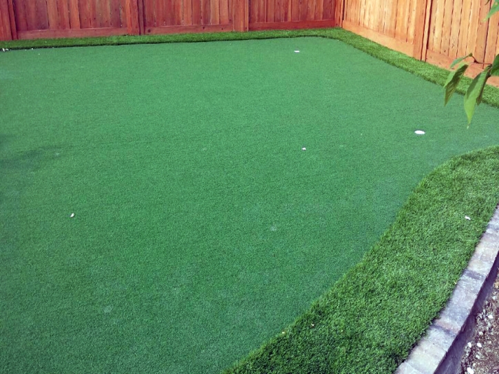 Green Lawn Winters, Texas Best Indoor Putting Green, Backyard Ideas