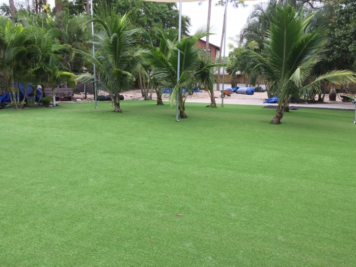 Installing Artificial Grass Brushy Creek, Texas Roof Top, Commercial Landscape