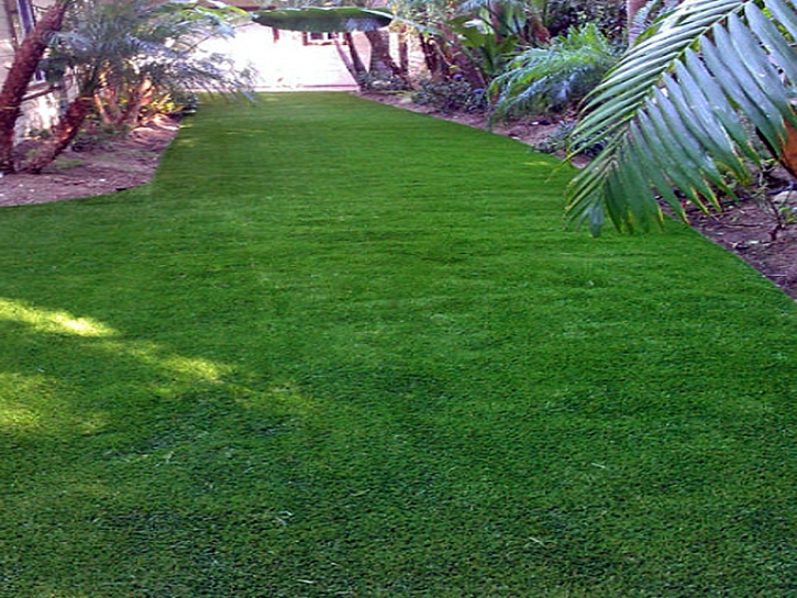 Installing Artificial Grass Midway South, Texas Landscape Ideas, Small Backyard Ideas