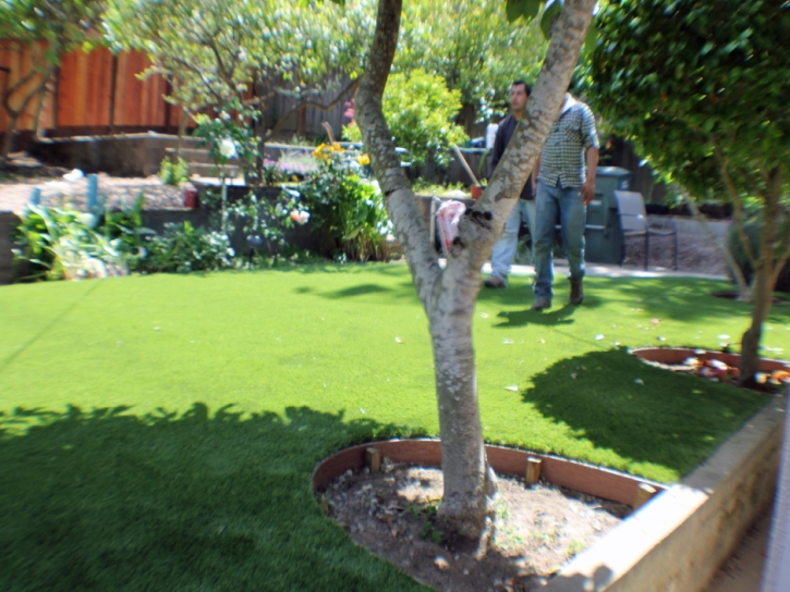 Lawn Services Channelview, Texas Landscaping, Backyards