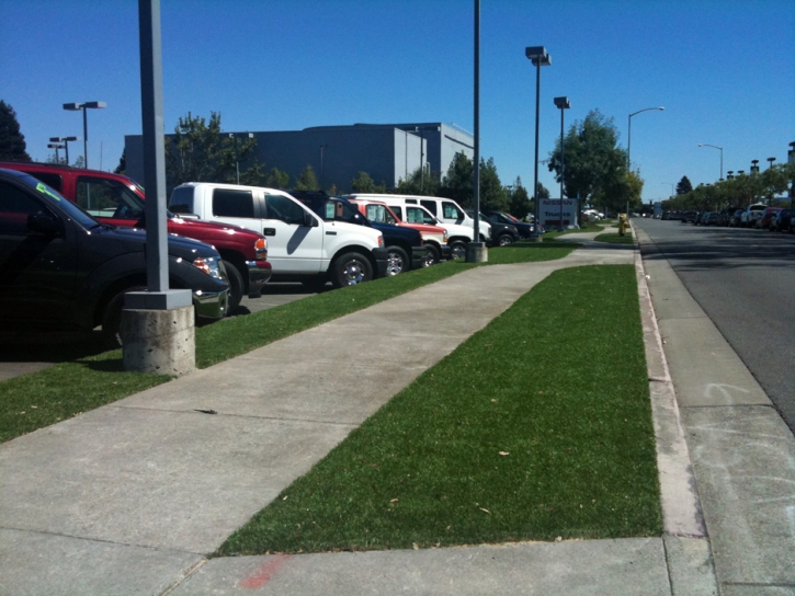 Lawn Services Galveston, Texas Roof Top, Commercial Landscape