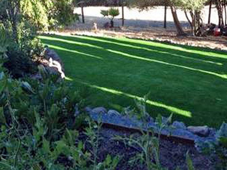 Lawn Services Hempstead, Texas Landscaping Business, Backyard Landscaping Ideas