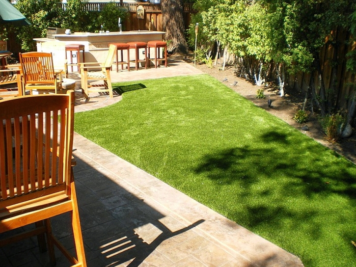Lawn Services Weatherford, Texas Dogs, Backyards