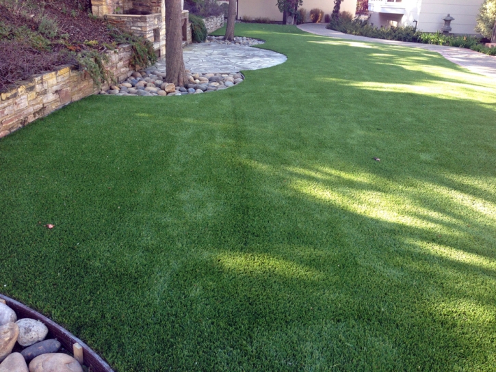 Outdoor Carpet Cactus, Texas Lawns, Beautiful Backyards