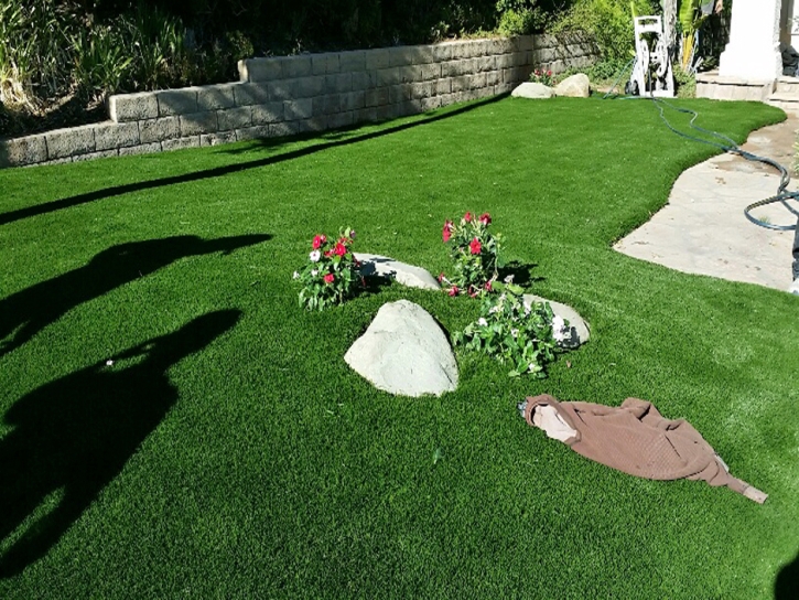 Outdoor Carpet Granite Shoals, Texas Lawn And Landscape, Small Front Yard Landscaping