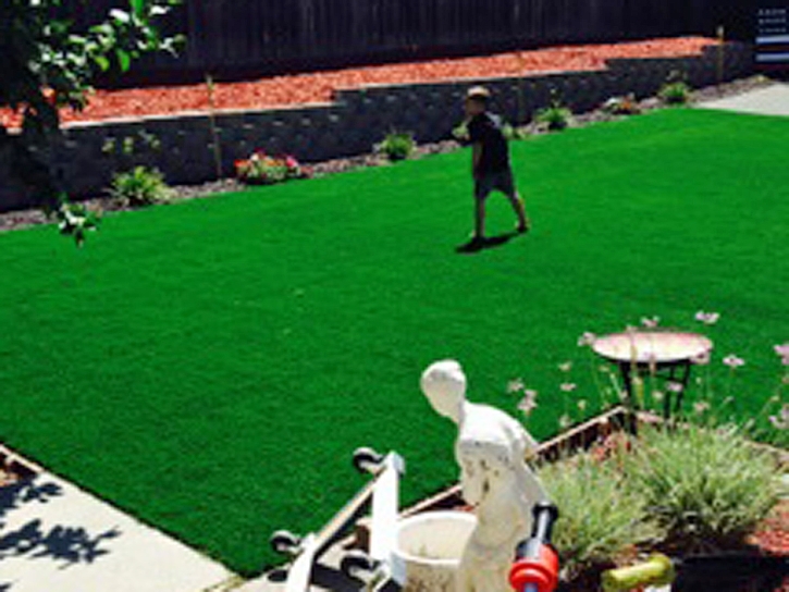 Outdoor Carpet Kingsland, Texas Lawn And Garden, Backyard Landscaping