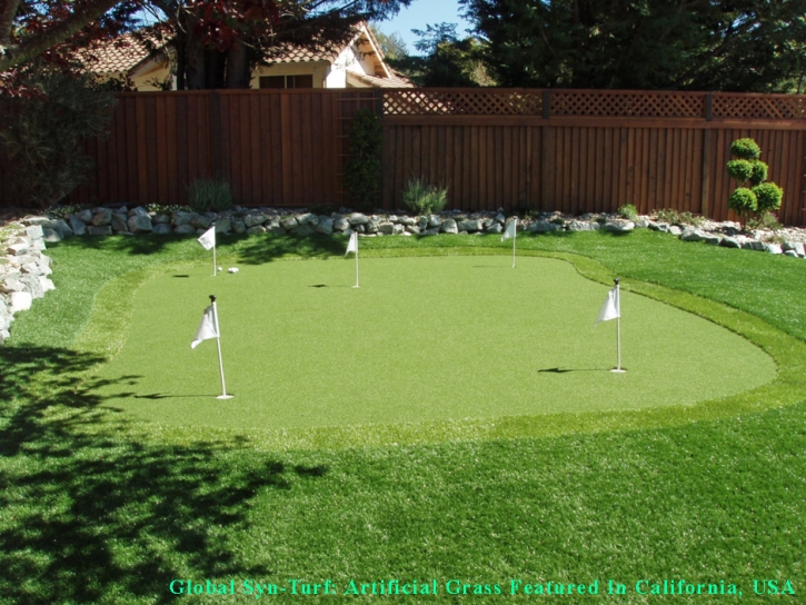 Outdoor Carpet Laredo, Texas Artificial Putting Greens, Backyard Designs