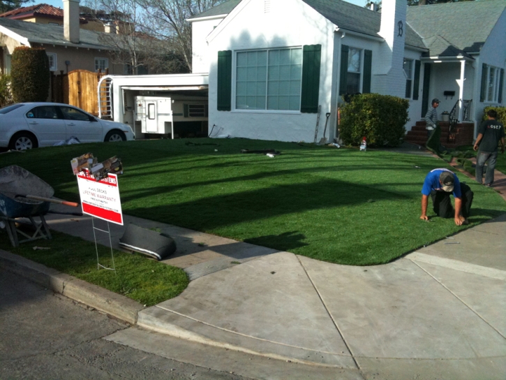 Outdoor Carpet Las Quintas Fronterizas Colonia, Texas Landscape Photos, Front Yard