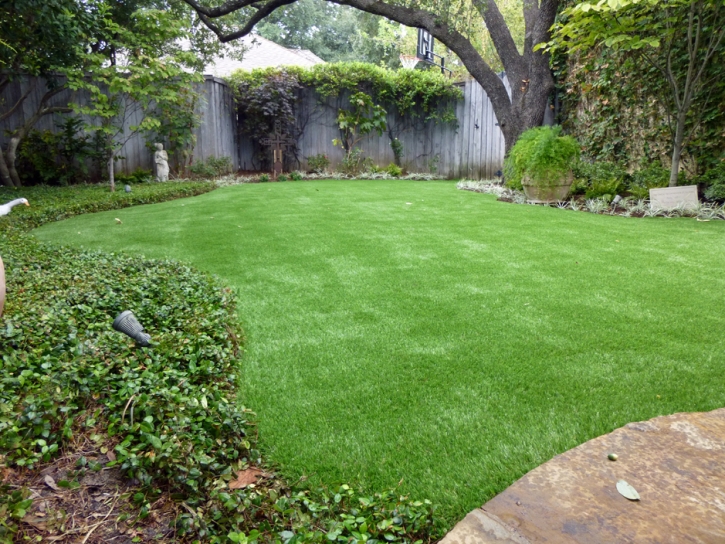 Outdoor Carpet Raymondville, Texas Landscape Ideas, Beautiful Backyards