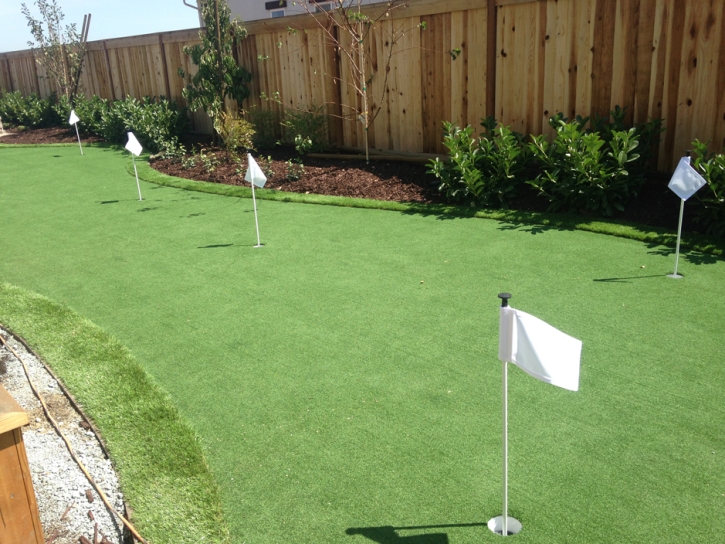 Outdoor Carpet San Elizario, Texas Outdoor Putting Green, Beautiful Backyards