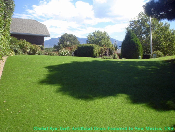 Plastic Grass Arlington, Texas Pet Grass, Backyard Designs