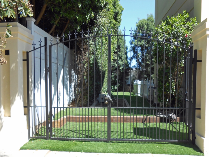 Plastic Grass Canutillo, Texas Landscape Rock, Front Yard Design