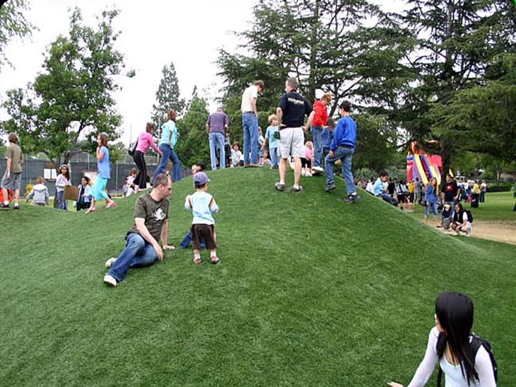 Plastic Grass Center, Texas Home And Garden, Parks