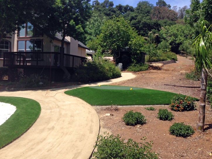 Plastic Grass Cooper, Texas Indoor Putting Green, Front Yard